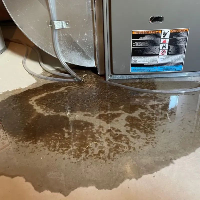 Pipe Burst and Leak Restoration in Yosemite Lakes, CA